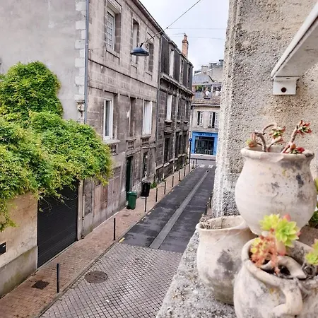 Appartement Duplex Lumineux Avec Bureau Separe Dans Le Centre *