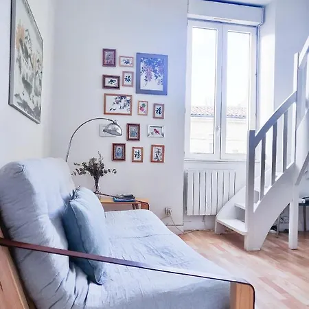 شقة Duplex Lumineux Avec Bureau Separe Dans Le Centre بوردو