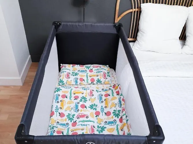 דירה Duplex Lumineux Avec Bureau Separe Dans Le Centre